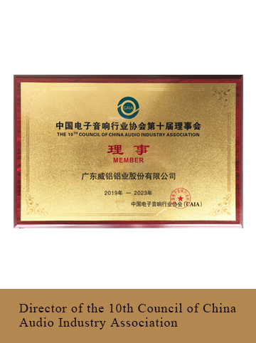   Director of the 10th Council of China Audio Industry Association
